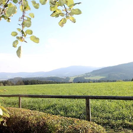 Hotel Roseggerhof Sankt Kathrein am Hauenstein Esterno foto