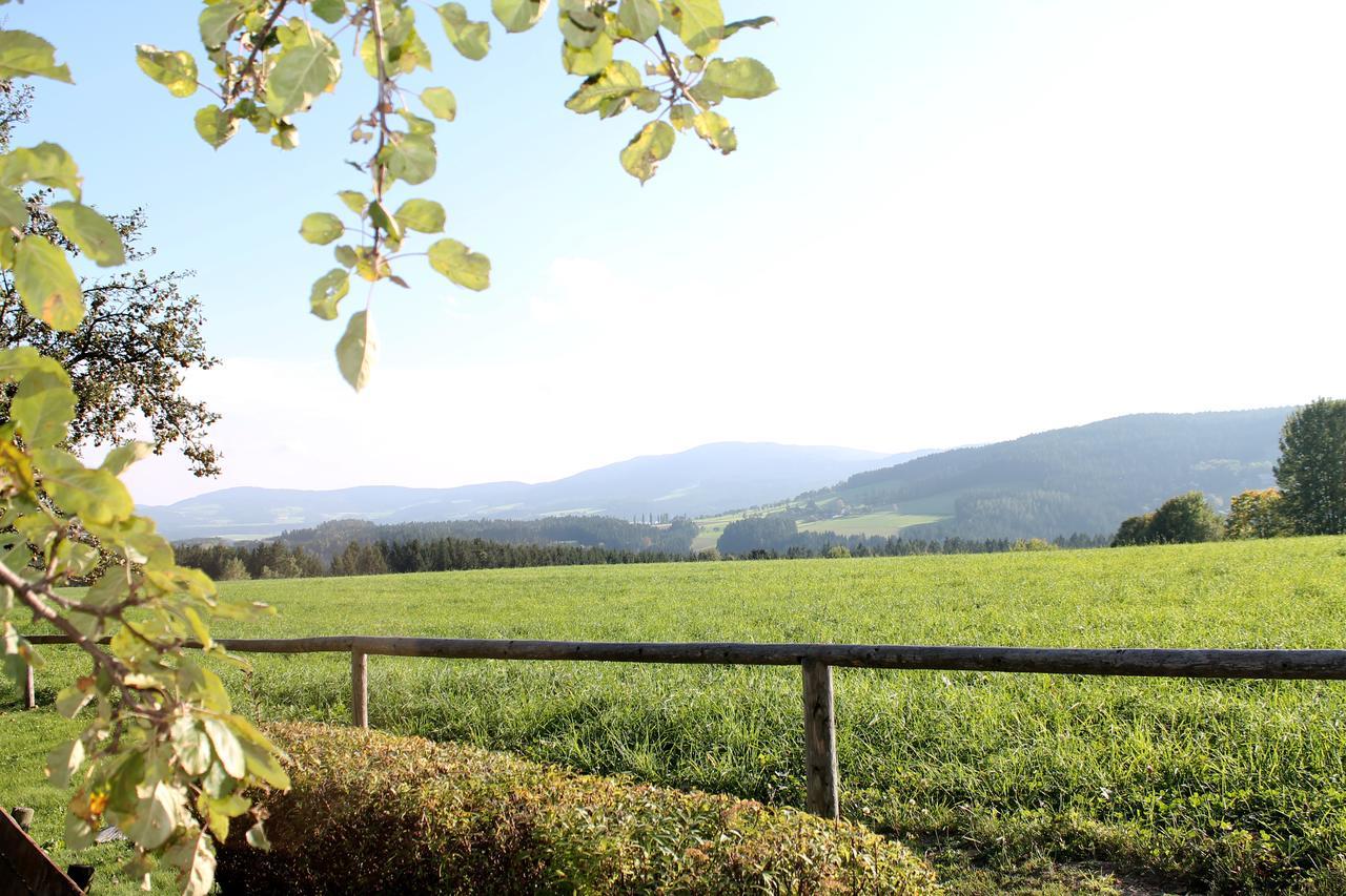 Hotel Roseggerhof Sankt Kathrein am Hauenstein Esterno foto
